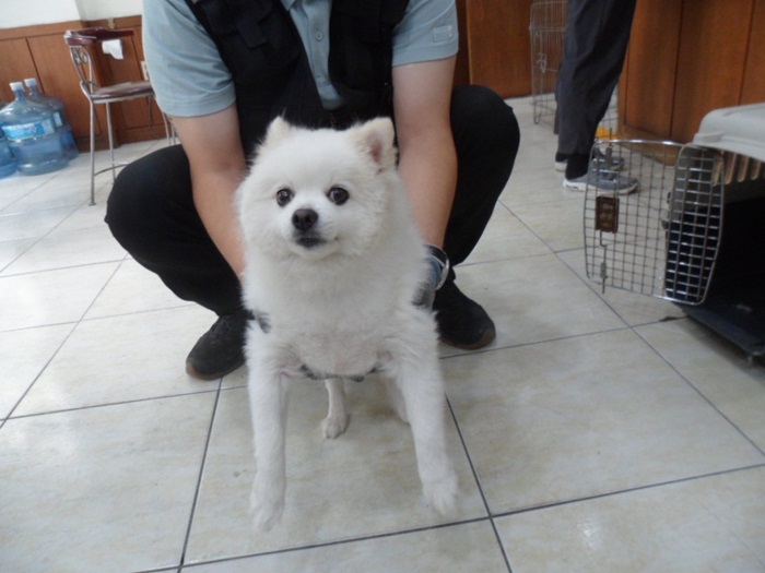 강현림동물병원_411320202400499